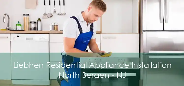 Liebherr Residential Appliance Installation North Bergen - NJ