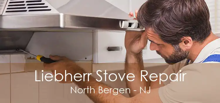 Liebherr Stove Repair North Bergen - NJ