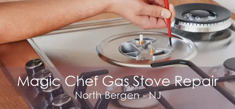 Magic Chef Gas Stove Repair North Bergen - NJ