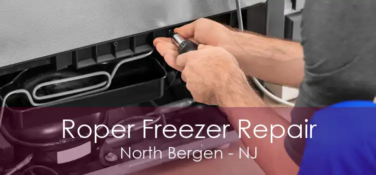 Roper Freezer Repair North Bergen - NJ