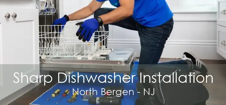 Sharp Dishwasher Installation North Bergen - NJ