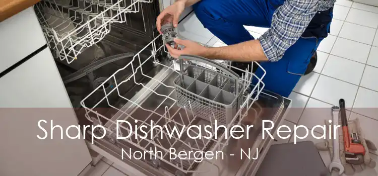 Sharp Dishwasher Repair North Bergen - NJ