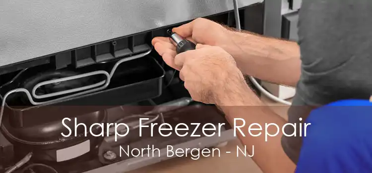 Sharp Freezer Repair North Bergen - NJ