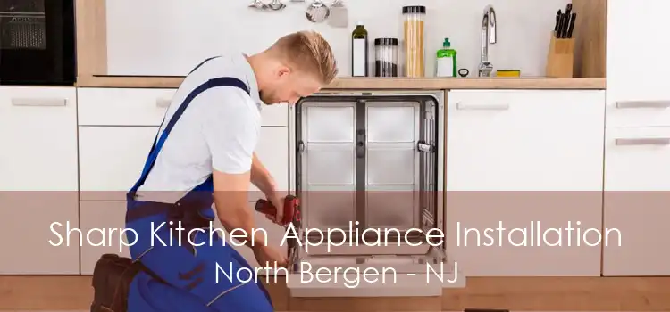 Sharp Kitchen Appliance Installation North Bergen - NJ