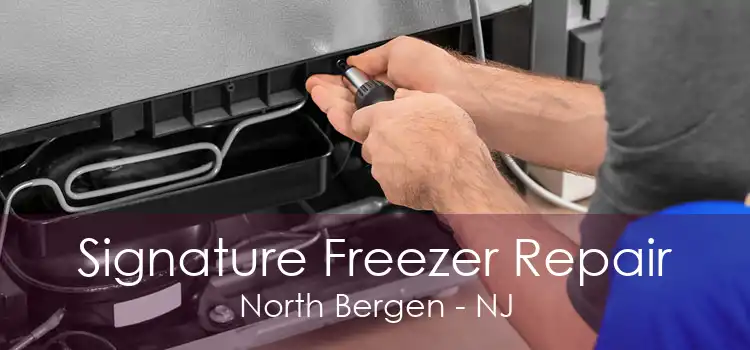 Signature Freezer Repair North Bergen - NJ