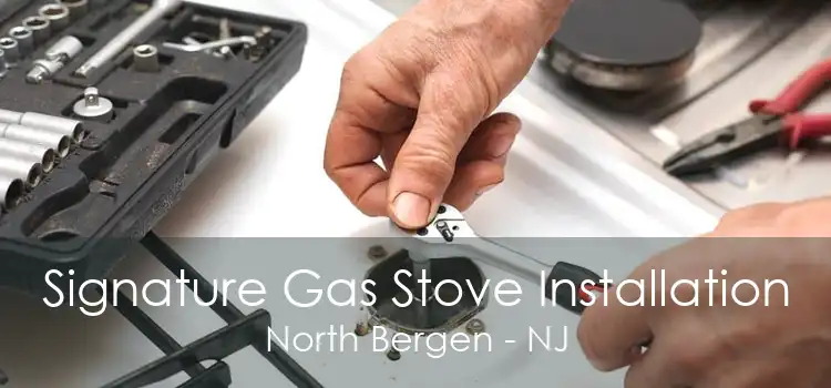 Signature Gas Stove Installation North Bergen - NJ