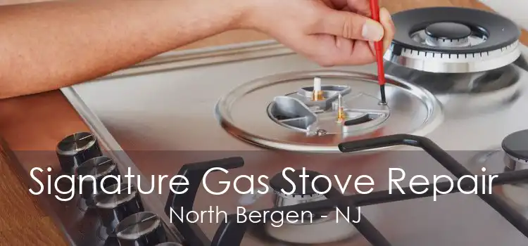 Signature Gas Stove Repair North Bergen - NJ