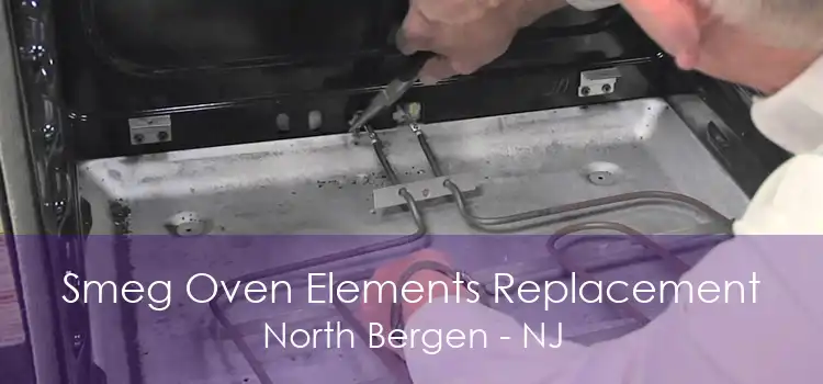 Smeg Oven Elements Replacement North Bergen - NJ