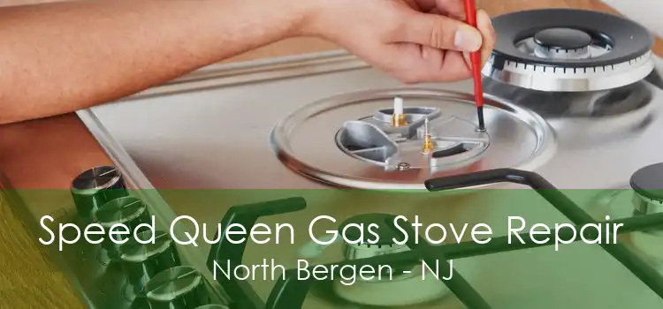 Speed Queen Gas Stove Repair North Bergen - NJ
