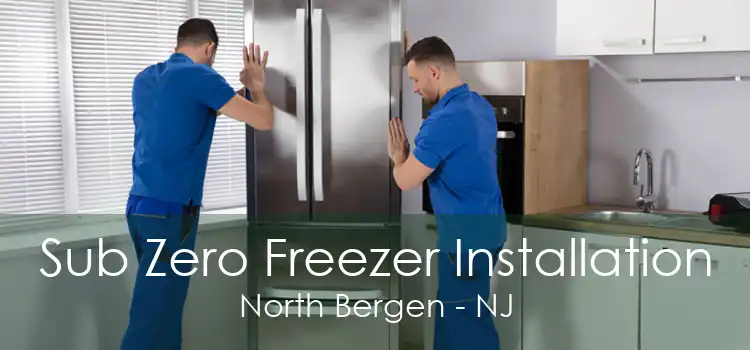 Sub Zero Freezer Installation North Bergen - NJ