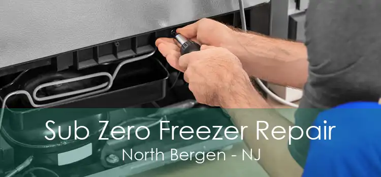 Sub Zero Freezer Repair North Bergen - NJ