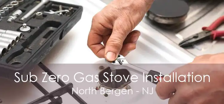 Sub Zero Gas Stove Installation North Bergen - NJ