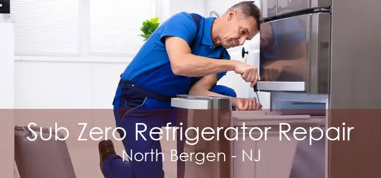 Sub Zero Refrigerator Repair North Bergen - NJ