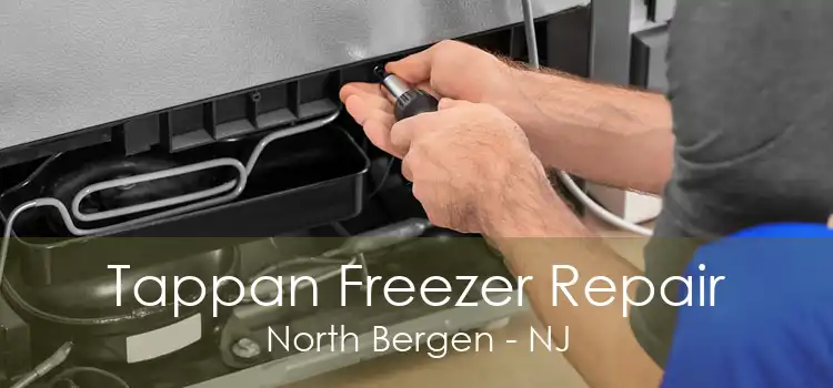 Tappan Freezer Repair North Bergen - NJ