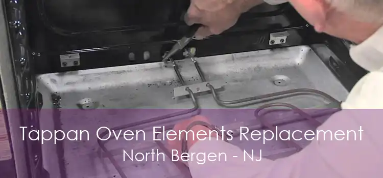 Tappan Oven Elements Replacement North Bergen - NJ