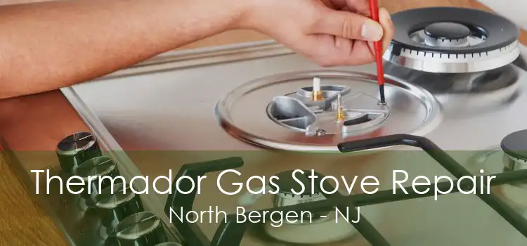 Thermador Gas Stove Repair North Bergen - NJ