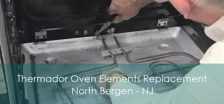 Thermador Oven Elements Replacement North Bergen - NJ