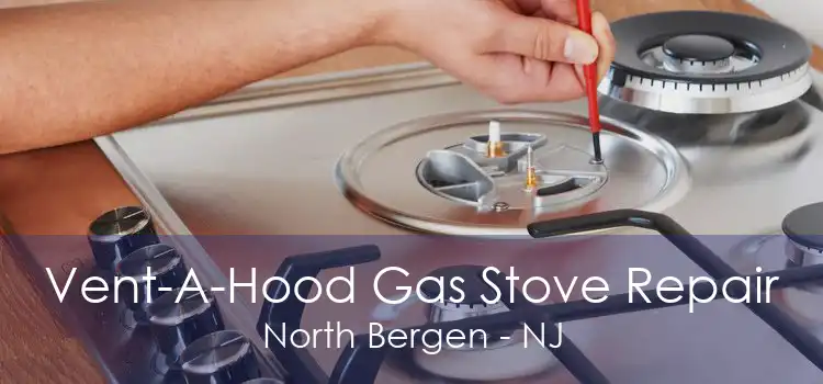 Vent-A-Hood Gas Stove Repair North Bergen - NJ
