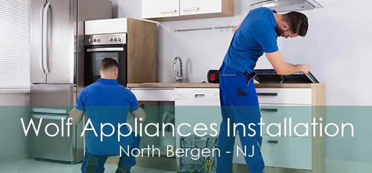 Wolf Appliances Installation North Bergen - NJ