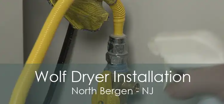 Wolf Dryer Installation North Bergen - NJ