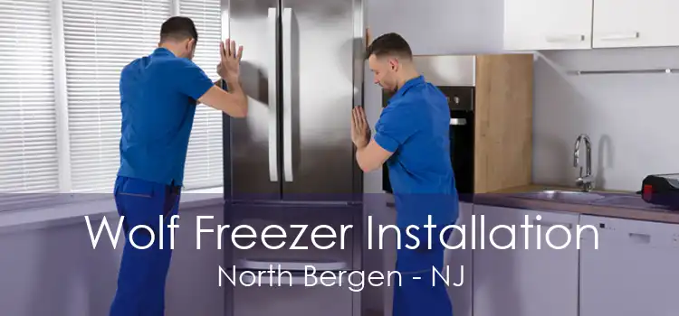 Wolf Freezer Installation North Bergen - NJ
