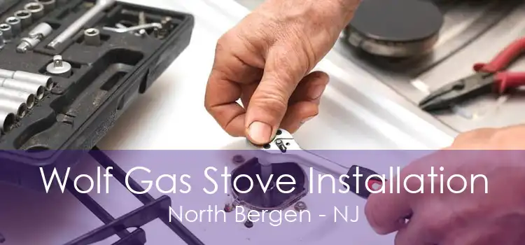 Wolf Gas Stove Installation North Bergen - NJ