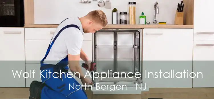 Wolf Kitchen Appliance Installation North Bergen - NJ