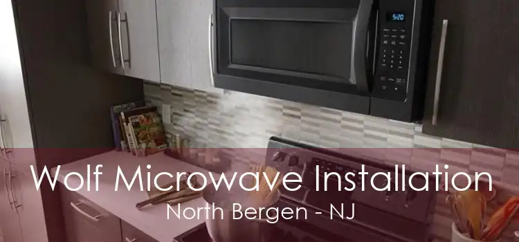 Wolf Microwave Installation North Bergen - NJ
