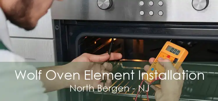 Wolf Oven Element Installation North Bergen - NJ