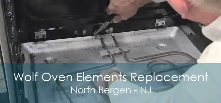 Wolf Oven Elements Replacement North Bergen - NJ