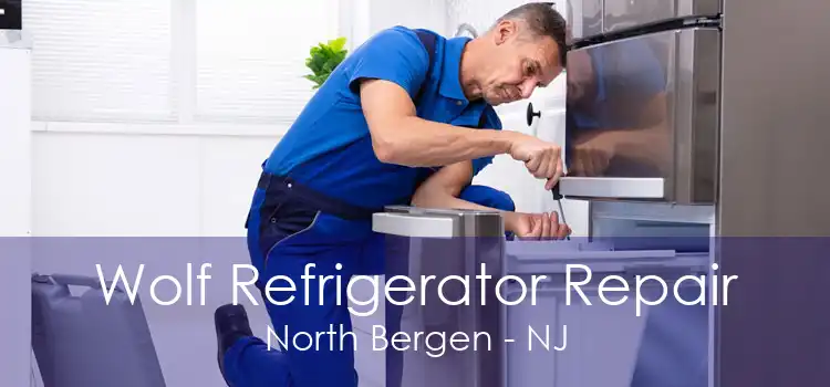 Wolf Refrigerator Repair North Bergen - NJ