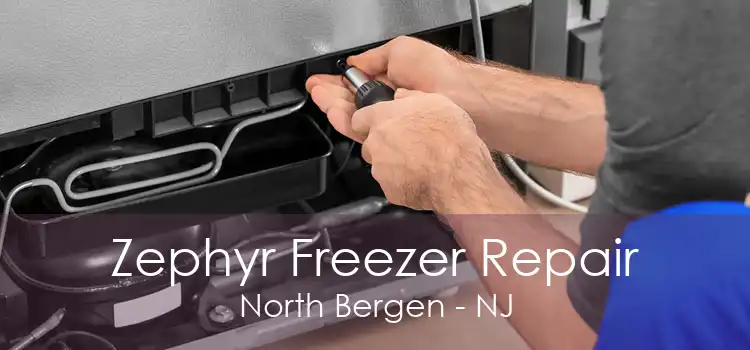 Zephyr Freezer Repair North Bergen - NJ
