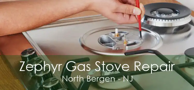 Zephyr Gas Stove Repair North Bergen - NJ