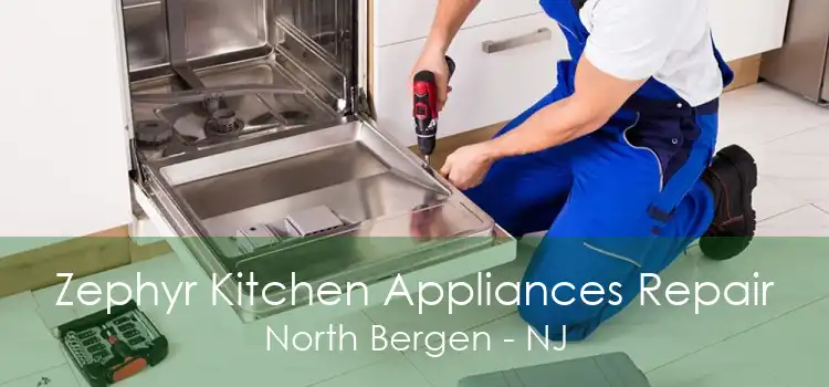 Zephyr Kitchen Appliances Repair North Bergen - NJ
