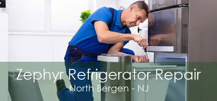 Zephyr Refrigerator Repair North Bergen - NJ