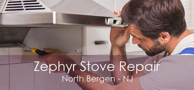 Zephyr Stove Repair North Bergen - NJ